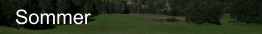 Sommer